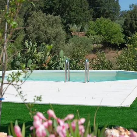 Trulli In Puglia With Pool For 6 Prázdninový dům